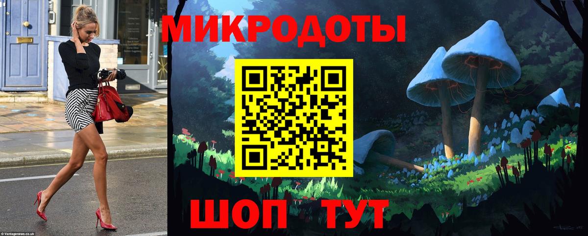 Псилоцибиновые грибы GOLDEN TEACHER Буйнакск